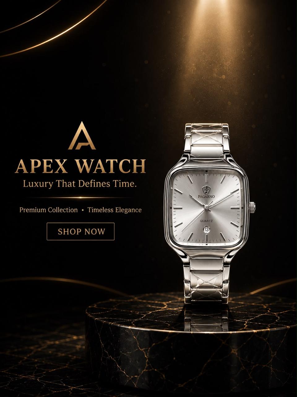 Apex Silver Stainless Steel Silver Dial Luxury Watch